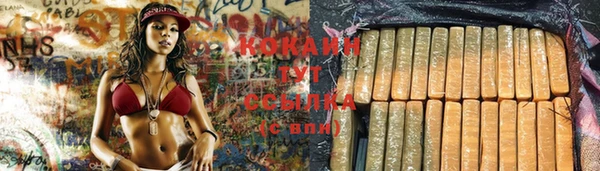 spice Беломорск
