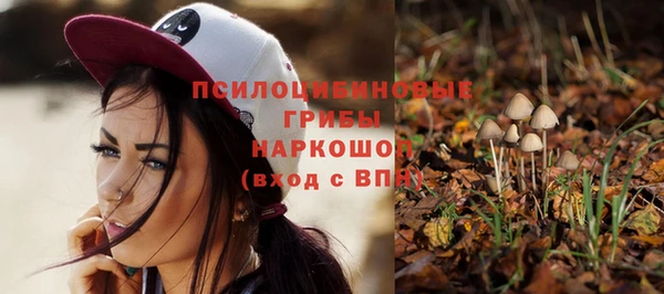 spice Беломорск
