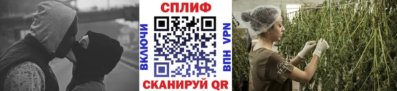 Купить  Таганрог  Бошки марихуана OG Kush 